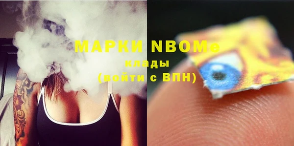стаф Кущёвская