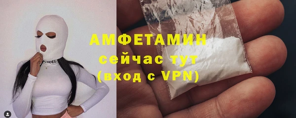 стаф Кущёвская