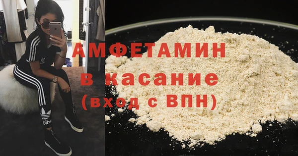 стаф Кущёвская
