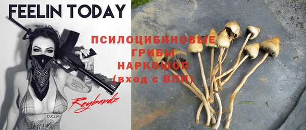 молекула духа Александровское