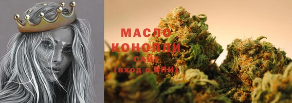 стаф Кущёвская