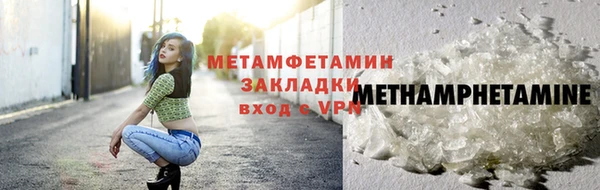стаф Кущёвская
