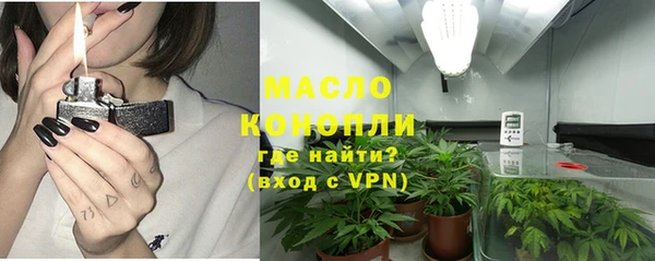 молекула духа Александровское