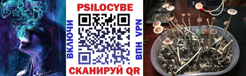МЕГА зеркало  Аксай  Галлюциногенные грибы Magic Shrooms  купить наркотик 