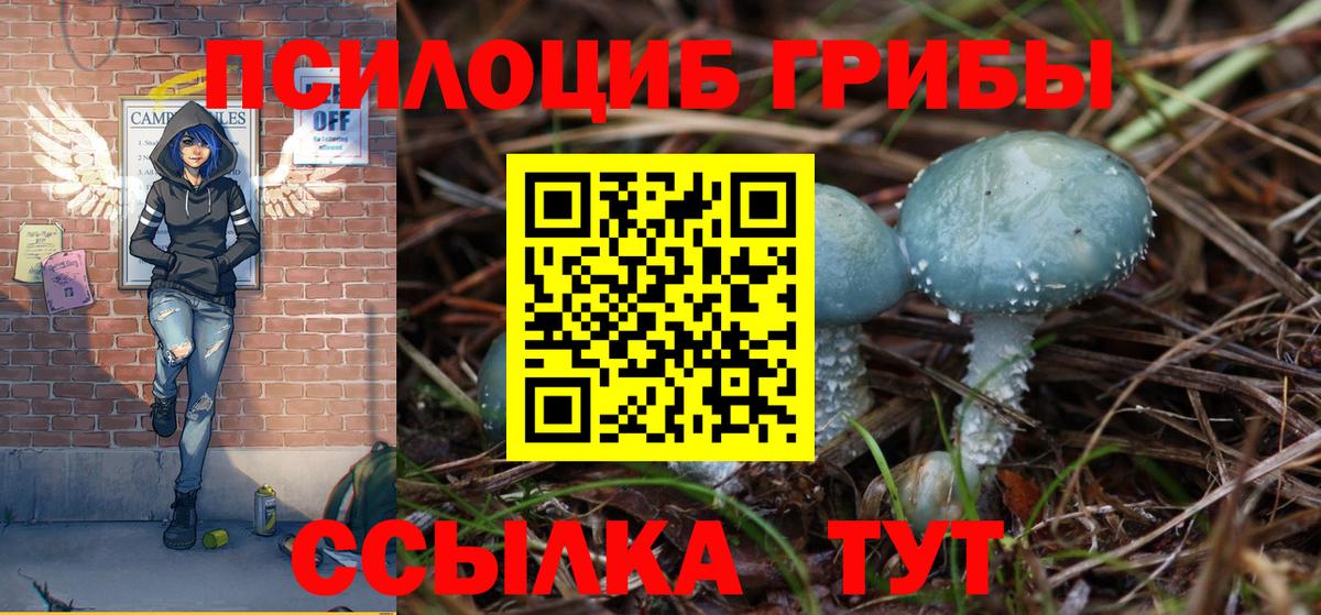 Псилоцибиновые грибы прущие грибы  Псилоцибиновые грибы мицелий  купить закладку  Вход с VPN  Аксай 